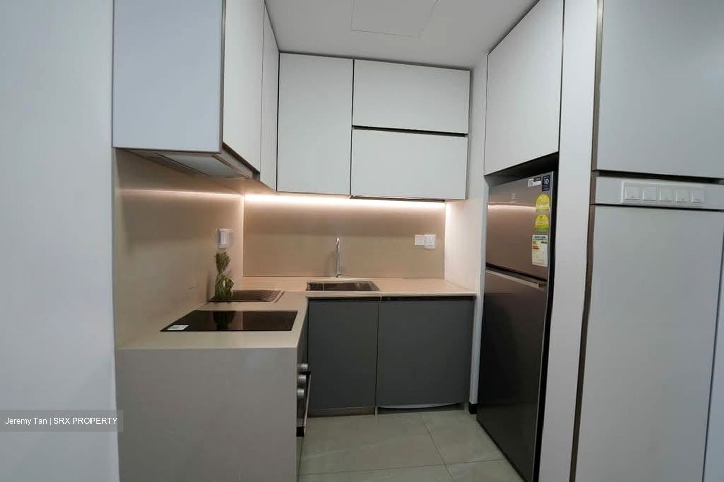 Normanton Park (D5), Apartment #553641051